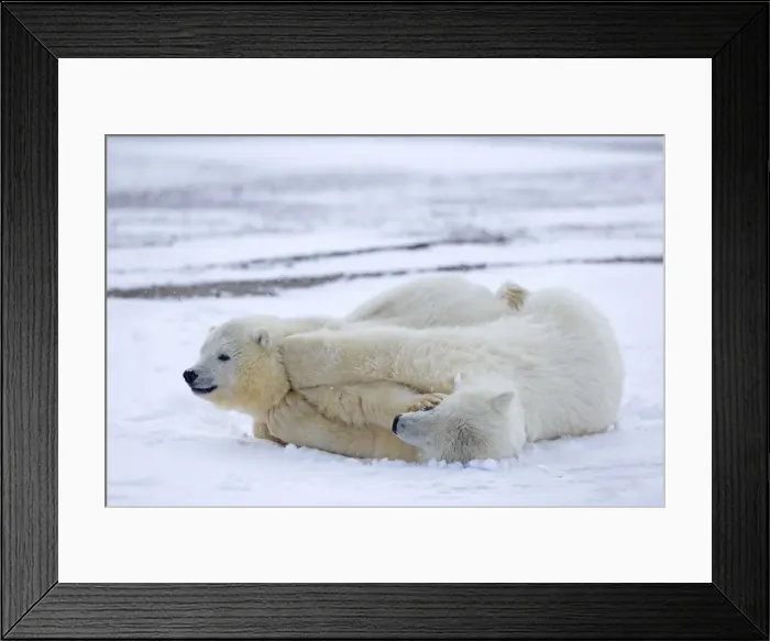 Framed Print : Picture No. 11051831 Framed Print : Picture No. 11051831