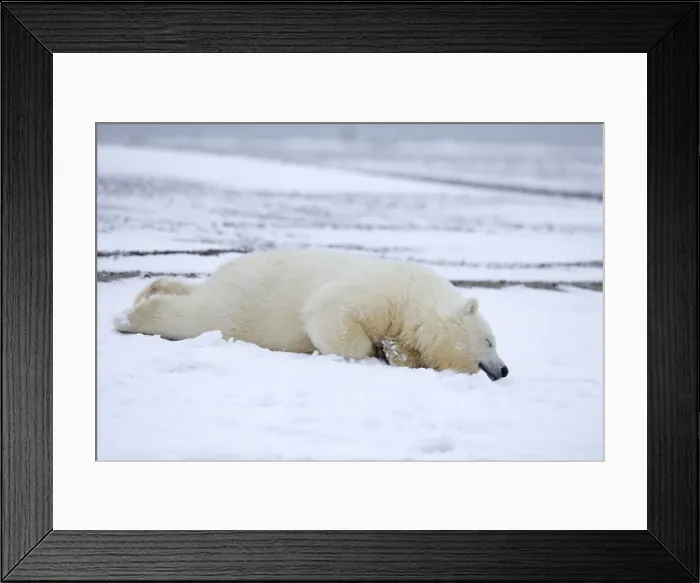 Framed Print : Picture No. 11051836 Framed Print : Picture No. 11051836