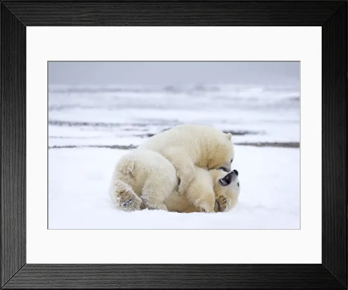 Framed Print : Picture No. 11051843 Framed Print : Picture No. 11051843