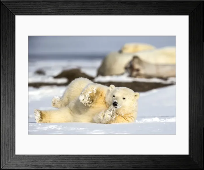 Framed Print : Picture No. 11051870 Framed Print : Picture No. 11051870