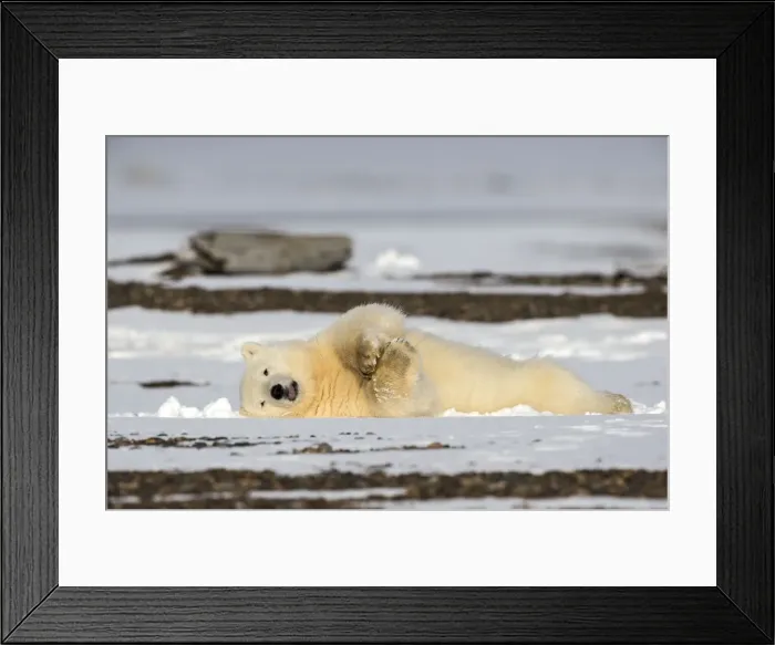 Framed Print : Picture No. 11051871 Framed Print : Picture No. 11051871