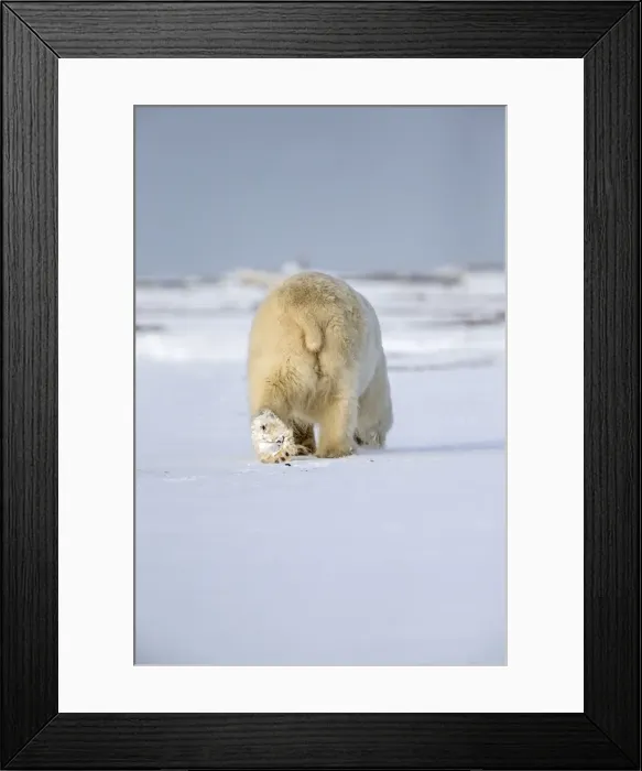 Framed Print : Picture No. 11051873 Framed Print : Picture No. 11051873