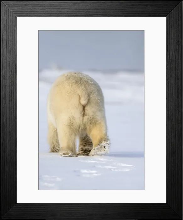 Framed Print : Picture No. 11051872 Framed Print : Picture No. 11051872