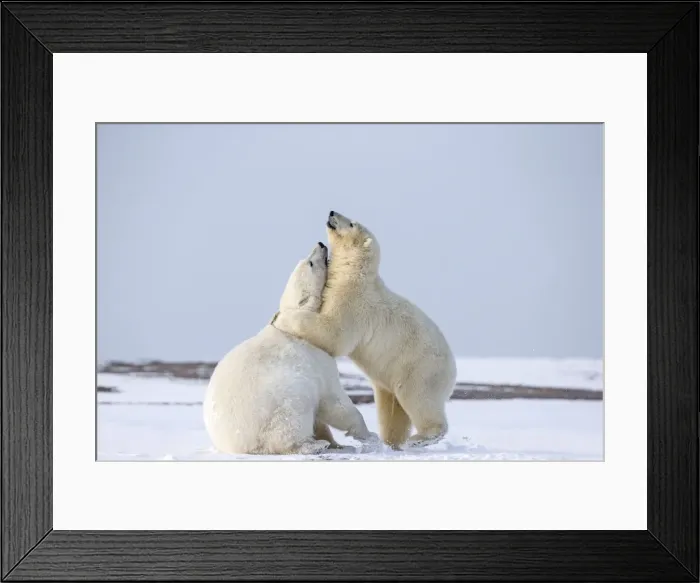 Framed Print : Picture No. 11051877 Framed Print : Picture No. 11051877