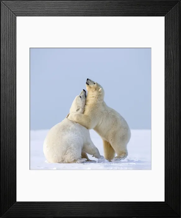 Framed Print : Picture No. 11052033 Framed Print : Picture No. 11052033