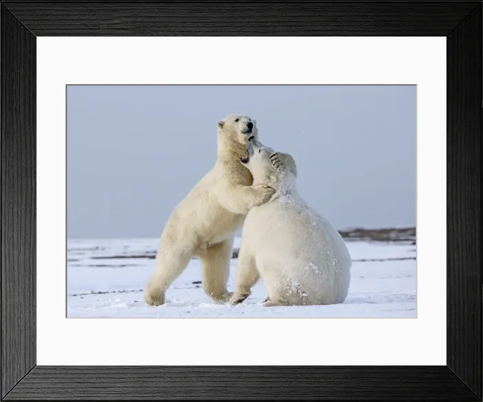 Framed Print : Picture No. 11051882 Framed Print : Picture No. 11051882