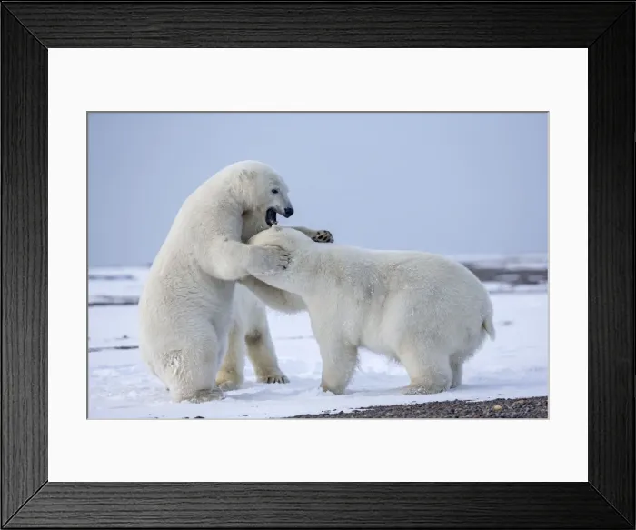 Framed Print : Picture No. 11051883 Framed Print : Picture No. 11051883