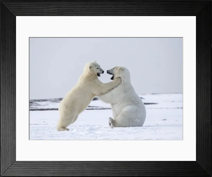 Framed Print : Picture No. 11051887 Framed Print : Picture No. 11051887