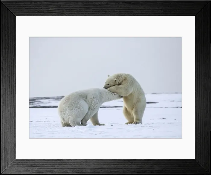 Framed Print : Picture No. 11051888 Framed Print : Picture No. 11051888