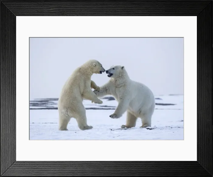Framed Print : Picture No. 11051890 Framed Print : Picture No. 11051890