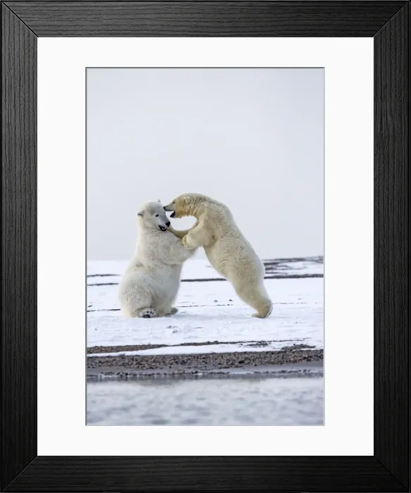 Framed Print : Picture No. 11051892 Framed Print : Picture No. 11051892