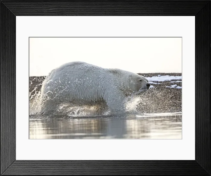 Framed Print : Picture No. 11051894 Framed Print : Picture No. 11051894