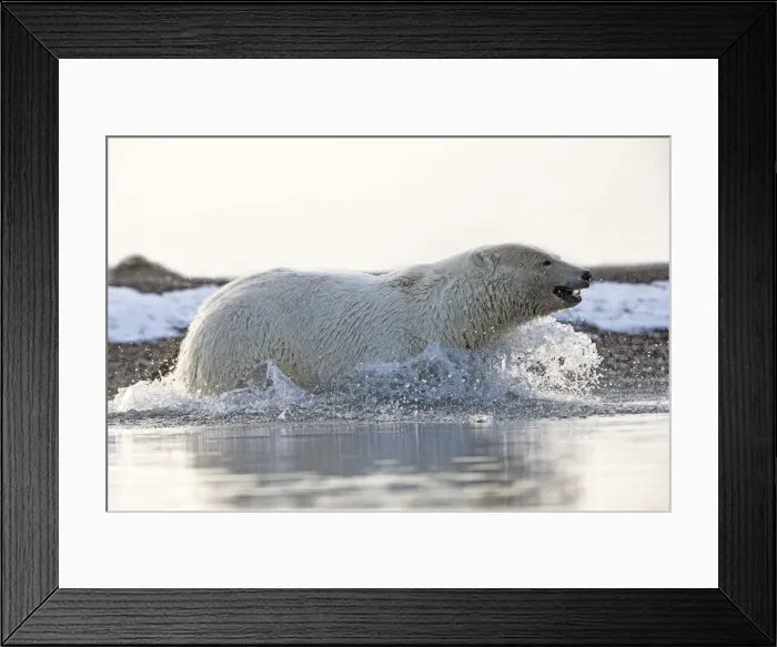 Framed Print : Picture No. 11051895 Framed Print : Picture No. 11051895