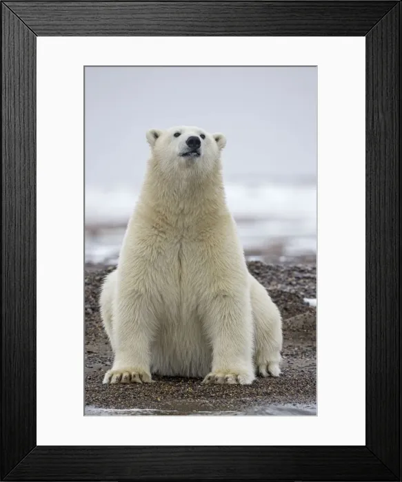 Framed Print : Picture No. 11051898 Framed Print : Picture No. 11051898