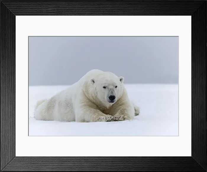 Framed Print : Picture No. 11051909 Framed Print : Picture No. 11051909