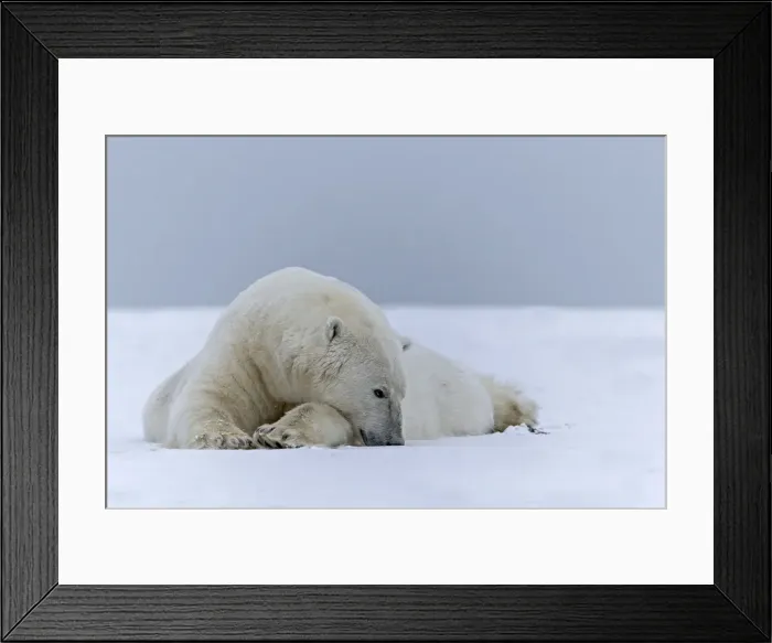 Framed Print : Picture No. 11051910 Framed Print : Picture No. 11051910