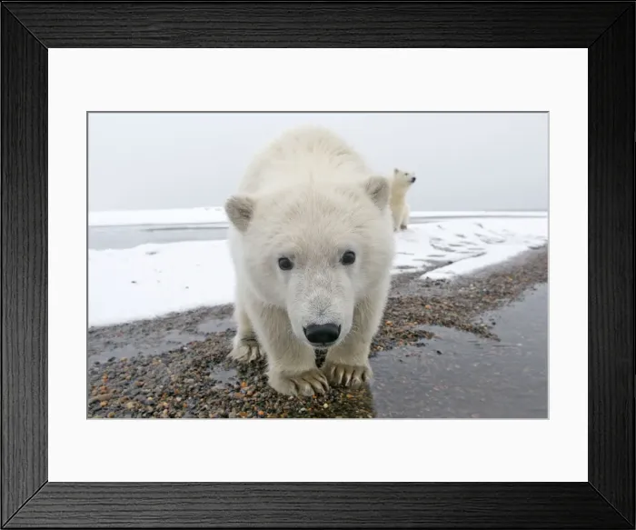 Framed Print : Picture No. 11051960 Framed Print : Picture No. 11051960