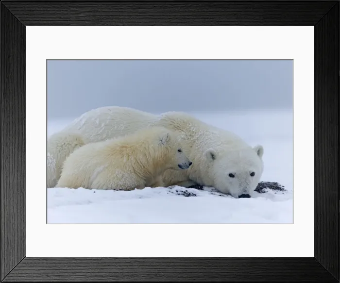 Framed Print : Picture No. 11051971 Framed Print : Picture No. 11051971