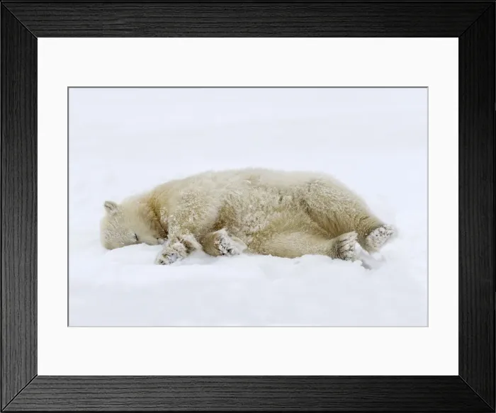 Framed Print : Picture No. 11051976 Framed Print : Picture No. 11051976