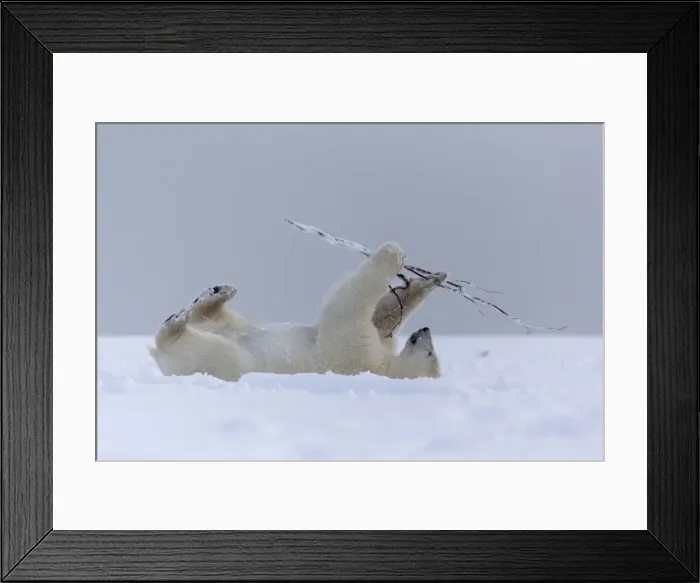Framed Print : Picture No. 11051981 Framed Print : Picture No. 11051981
