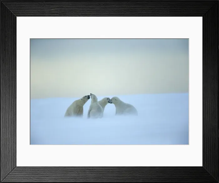Framed Print : Picture No. 11051986 Framed Print : Picture No. 11051986