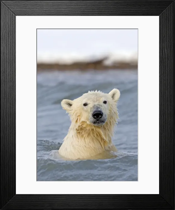 Framed Print : Picture No. 11051996 Framed Print : Picture No. 11051996