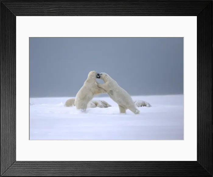 Framed Print : Picture No. 11051997 Framed Print : Picture No. 11051997