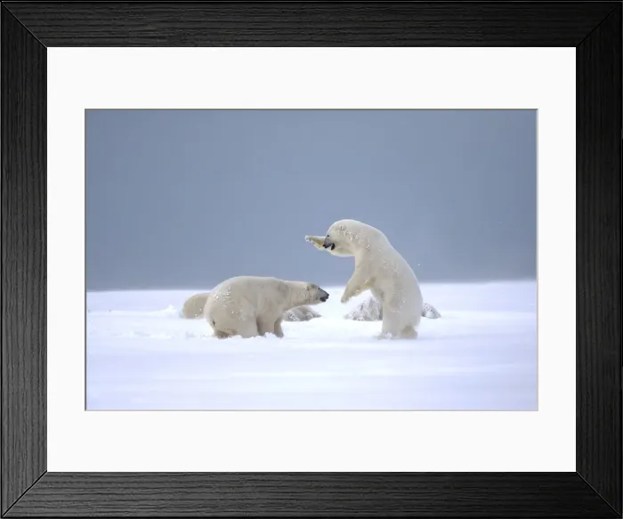 Framed Print : Picture No. 11051998 Framed Print : Picture No. 11051998