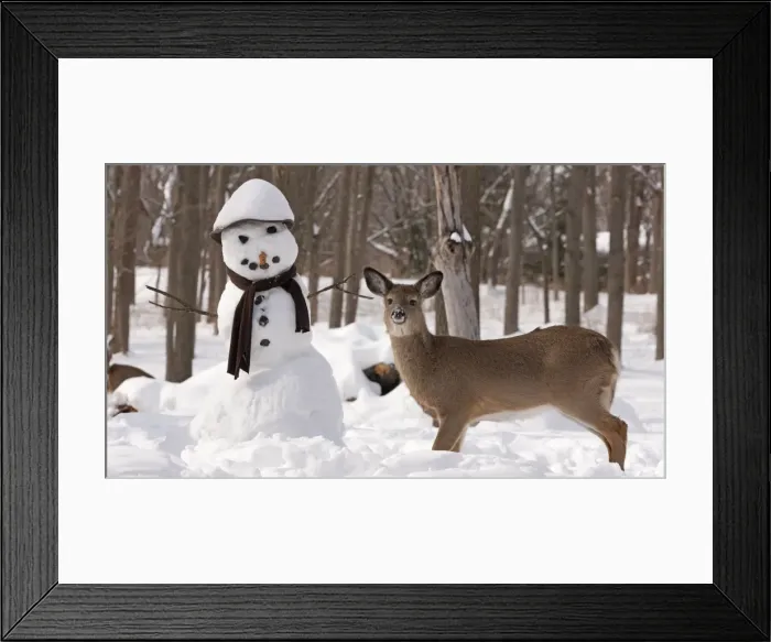Framed Print : Picture No. 11091644 Framed Print : Picture No. 11091644