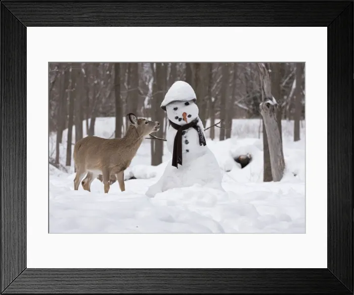 Framed Print : Picture No. 11091646 Framed Print : Picture No. 11091646