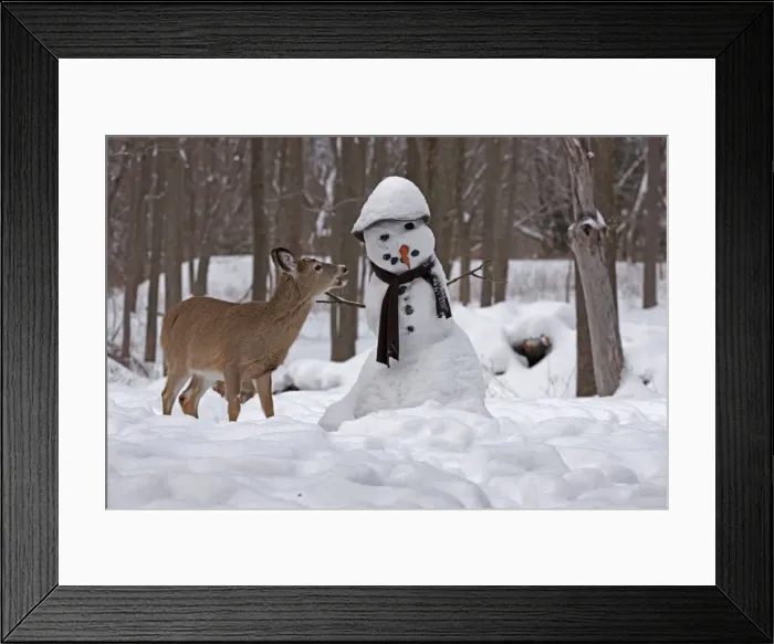 Framed Print : Picture No. 11091645 Framed Print : Picture No. 11091645