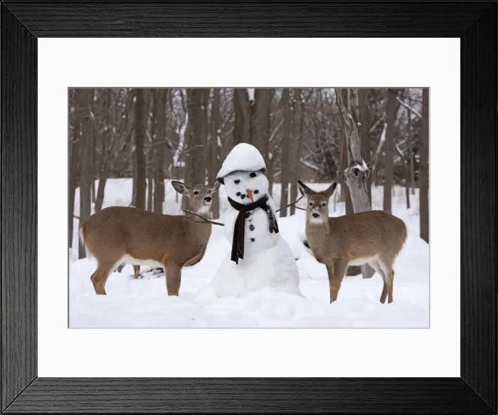 Framed Print : Picture No. 11091648 Framed Print : Picture No. 11091648