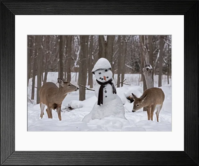 Framed Print : Picture No. 11091647 Framed Print : Picture No. 11091647