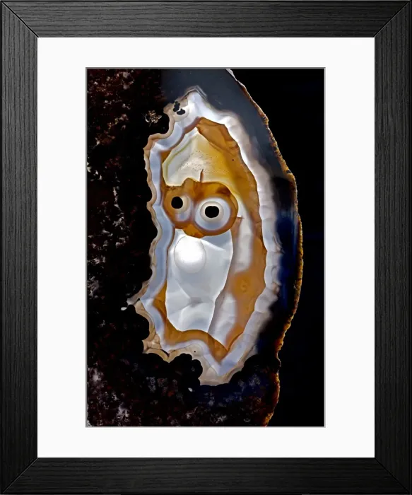 Framed Print : Picture No. 11091651 Framed Print : Picture No. 11091651