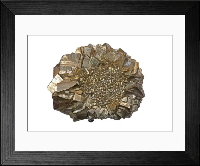 Framed Print : Picture No. 11091654 Framed Print : Picture No. 11091654