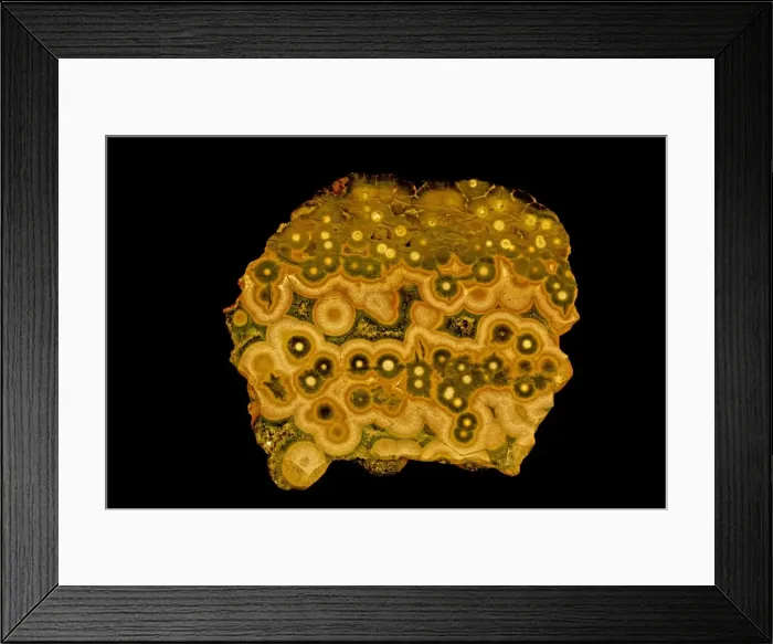 Framed Print : Picture No. 11091657 Framed Print : Picture No. 11091657