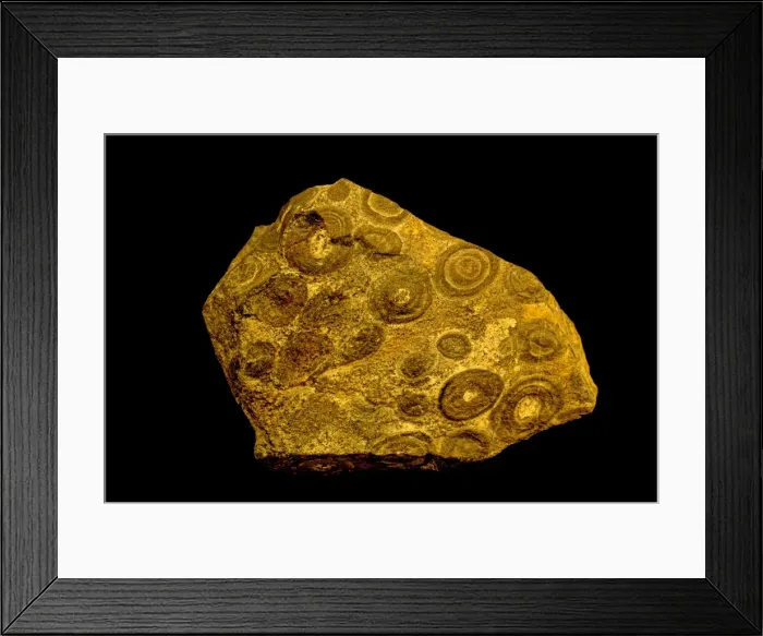 Framed Print : Picture No. 11091658 Framed Print : Picture No. 11091658