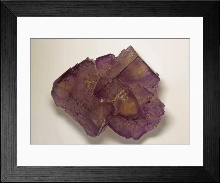 Framed Print : Picture No. 11091661 Framed Print : Picture No. 11091661