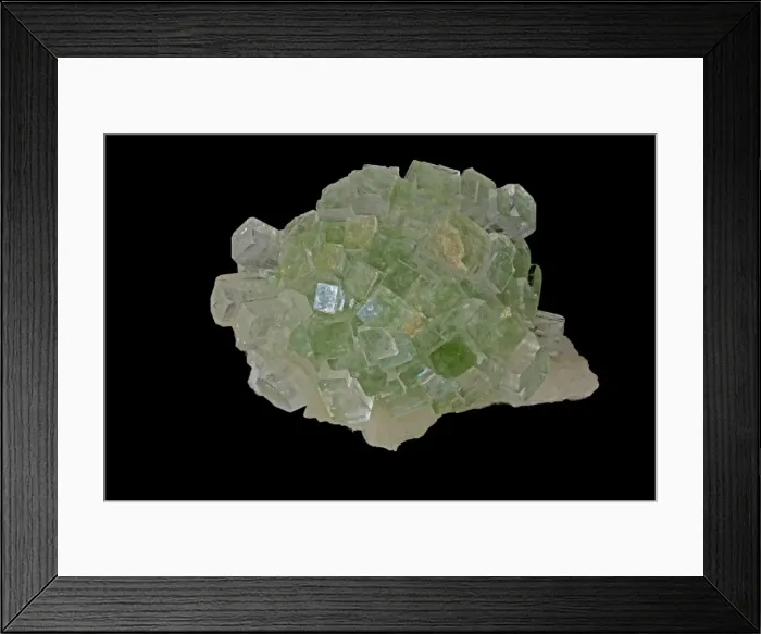 Framed Print : Picture No. 11091664 Framed Print : Picture No. 11091664