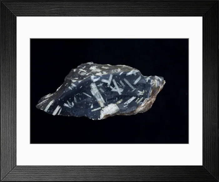 Framed Print : Picture No. 11091673