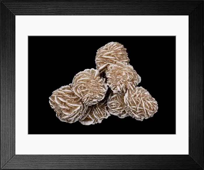 Framed Print : Picture No. 11091677 Framed Print : Picture No. 11091677