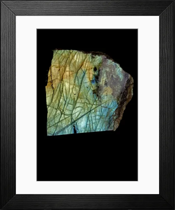 Framed Print : Picture No. 11091678 Framed Print : Picture No. 11091678