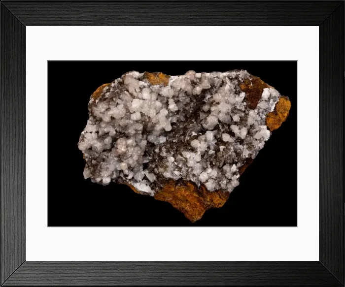 Framed Print : Picture No. 11091682 Framed Print : Picture No. 11091682