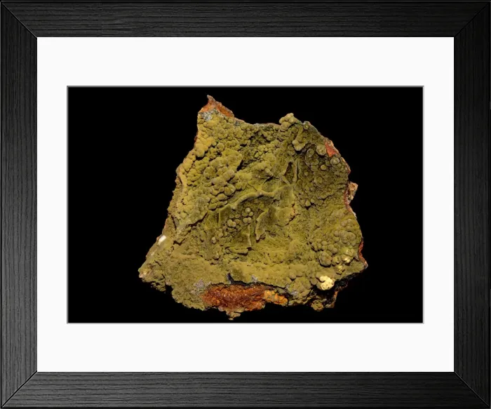 Framed Print : Picture No. 11091684 Framed Print : Picture No. 11091684