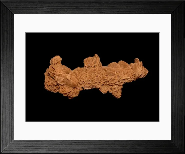 Framed Print : Picture No. 11091686