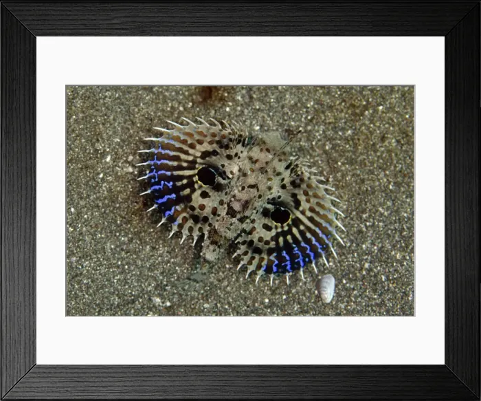Framed Print : Picture No. 11091782 Framed Print : Picture No. 11091782