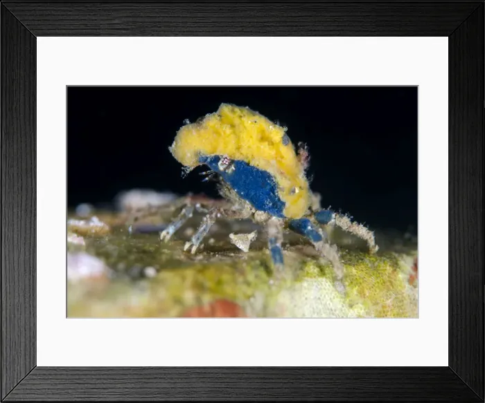 Framed Print : Picture No. 11091794 Framed Print : Picture No. 11091794