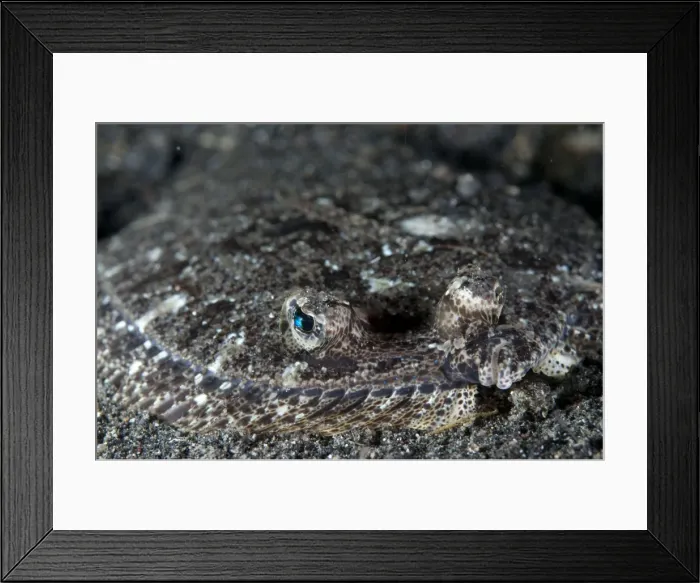 Framed Print : Picture No. 11091808 Framed Print : Picture No. 11091808