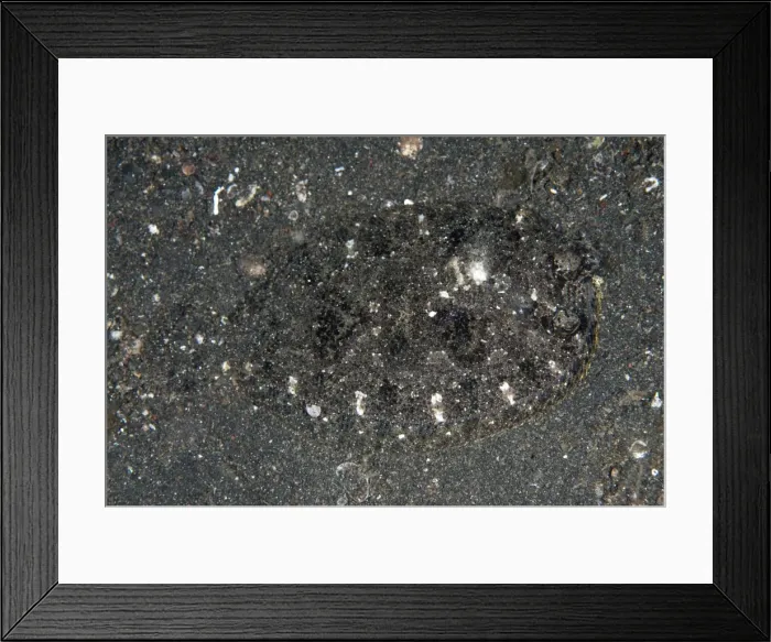 Framed Print : Picture No. 11091807 Framed Print : Picture No. 11091807