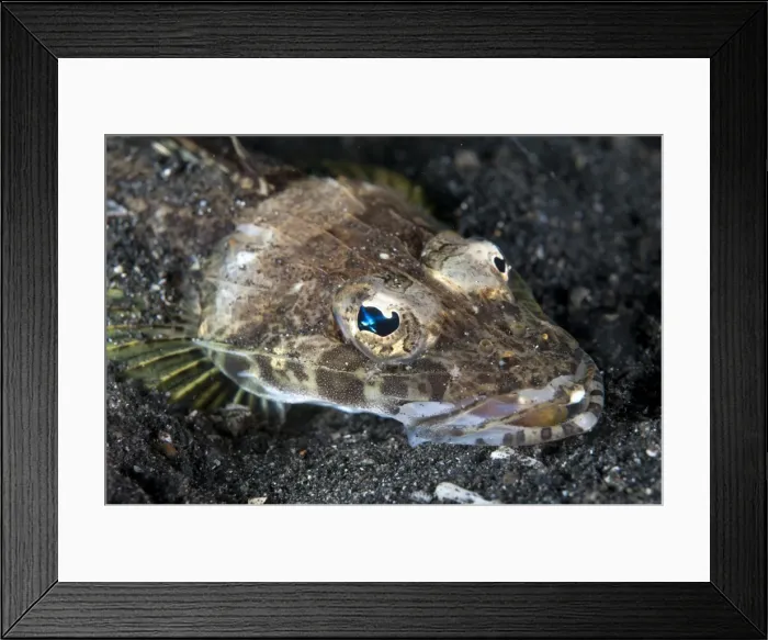 Framed Print : Picture No. 11091809 Framed Print : Picture No. 11091809